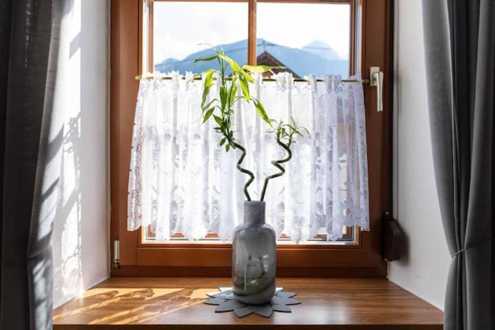 Vanek Apartment Kotschach-Mauthen 外观 照片