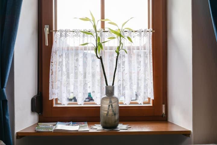 Vanek Apartment Kotschach-Mauthen 外观 照片
